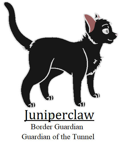 Juniperclaw Juniperclaw is The Border Guardian by Warrior-SpaceRanger on DeviantArt