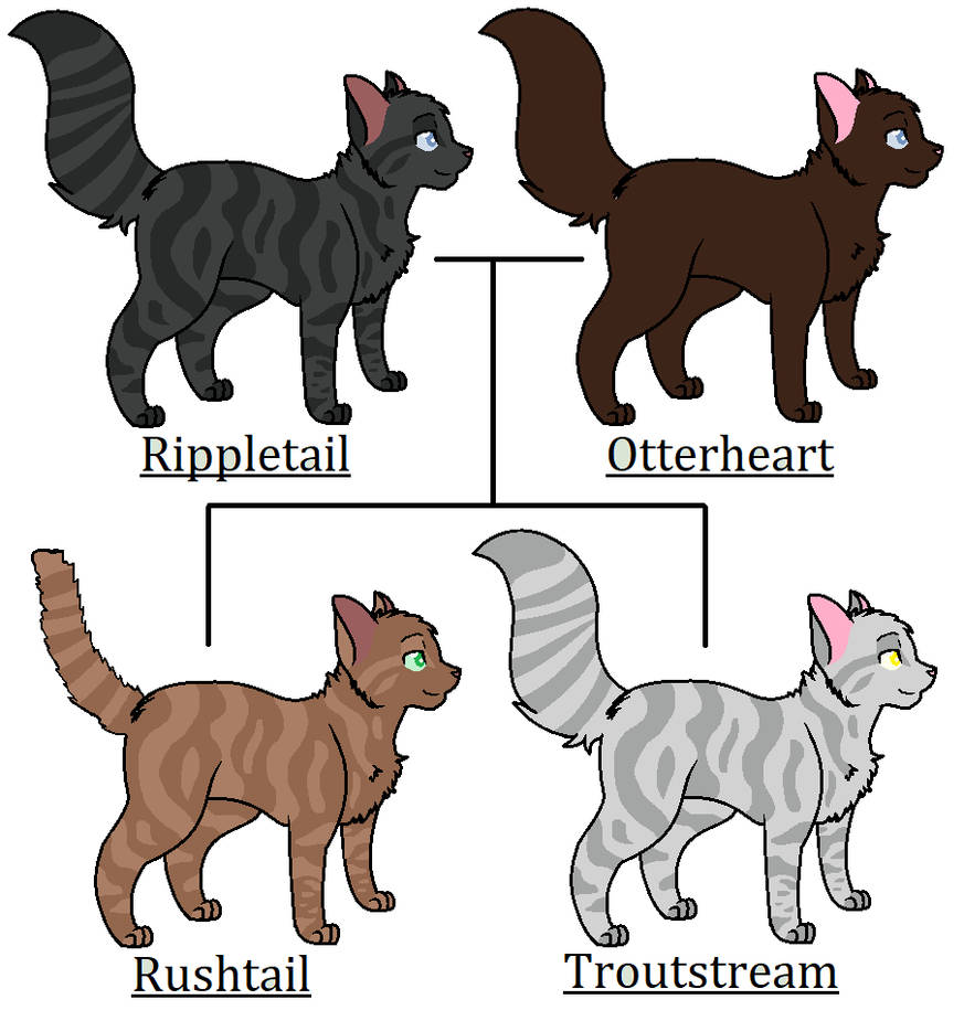 Raspberry Ripple Cat What if - RippleOtter by SpaceRanger-AnAs on DeviantArt
