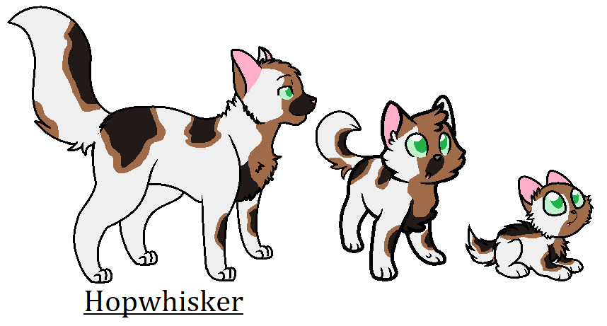 Hopwhisker, Warriors Wiki