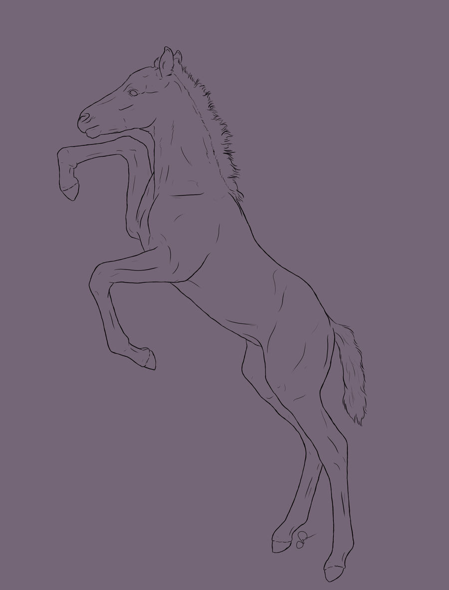 hanoverian foal WIP