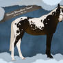 Nevada Warmblood import 32