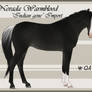 Nevada Wamrblood indian gene Import 01