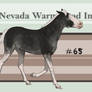 Nevada Warmblood 65