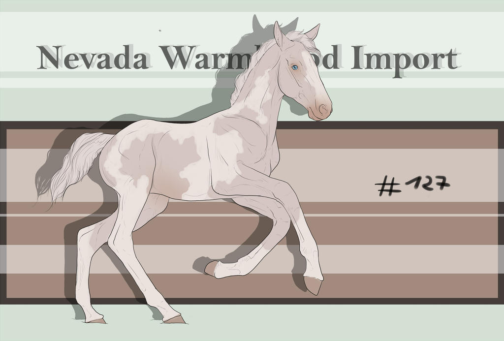 Nevada Warmblood 127