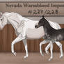 Nevada Warmblood 227-228