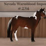 Nevada Warmblood 236