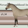 Nevada Warmblood 278 OPEN