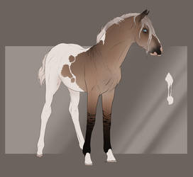 Enochiari foal Jassukassu