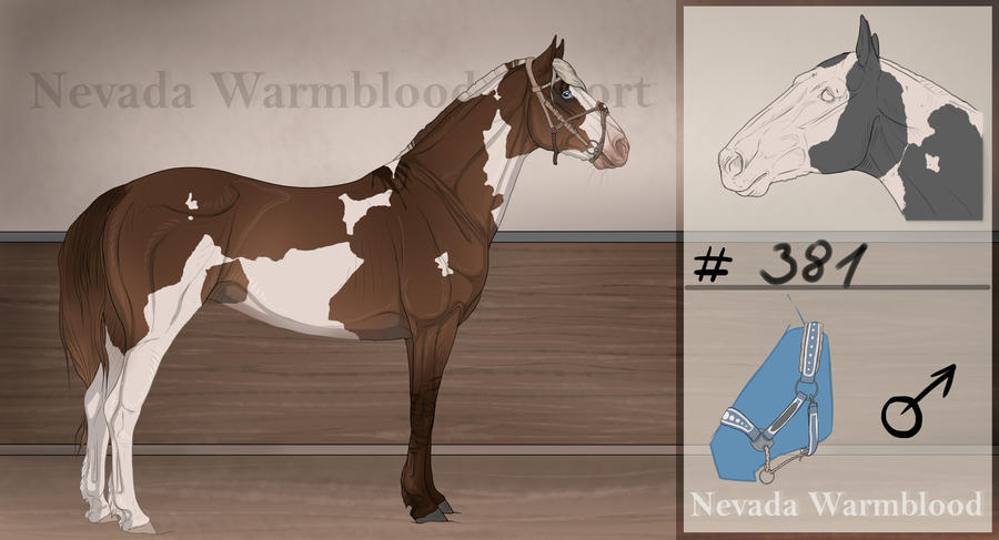 Nevada Warmblood 381 OPEN