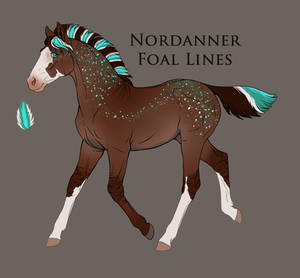 8804 Nordanner npwl design