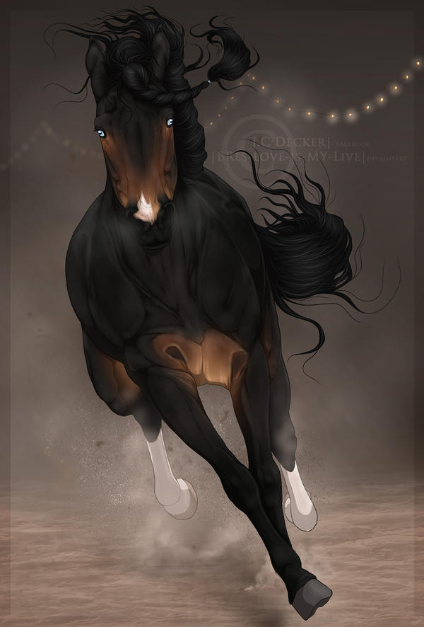 Cavalo de frente by Chefia-64 on DeviantArt