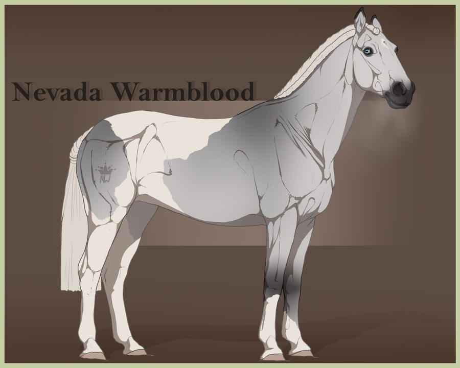 Nevada-Warmblood import | ID-N 001