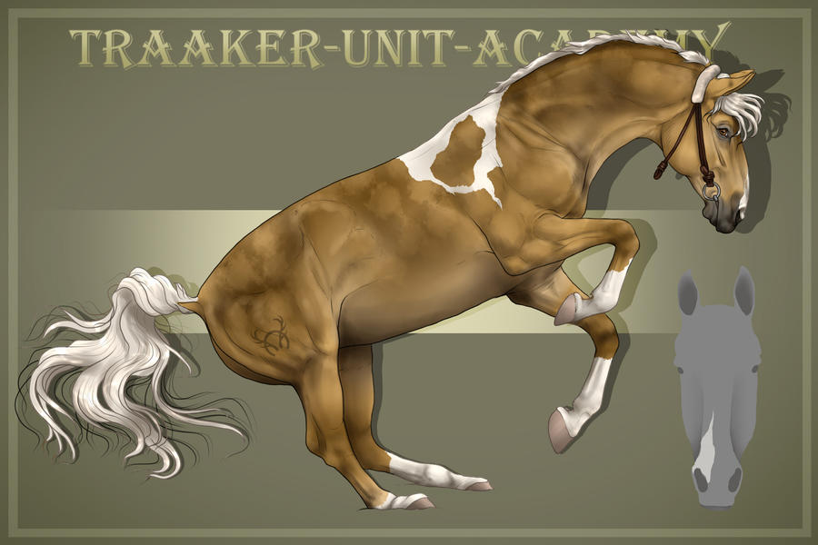 Traker Rider Traaker Import 134 |Custom by Pashiino on DeviantArt