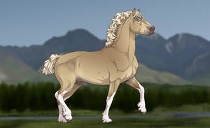 Varro | Stallion | DiRPG