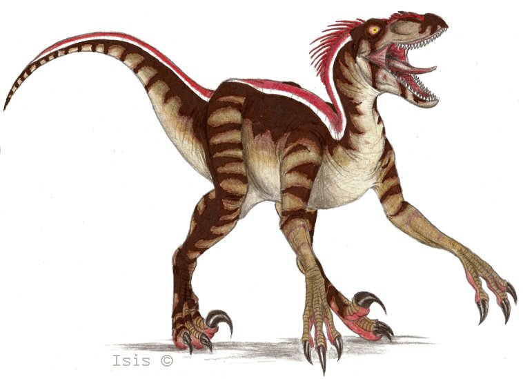 JP3 raptor again by IsisMasshiro on DeviantArt