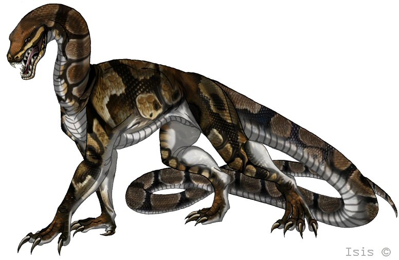 Python regius by IsisMasshiro on DeviantArt