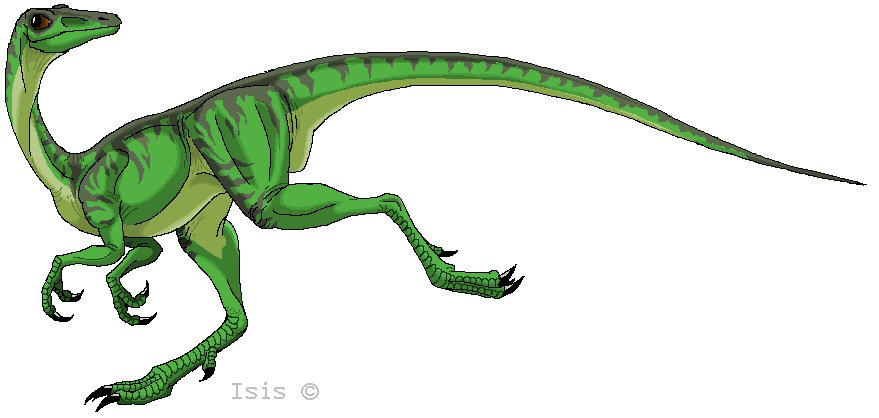 Compy by IsisMasshiro on DeviantArt