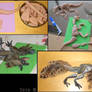 Raptor proces