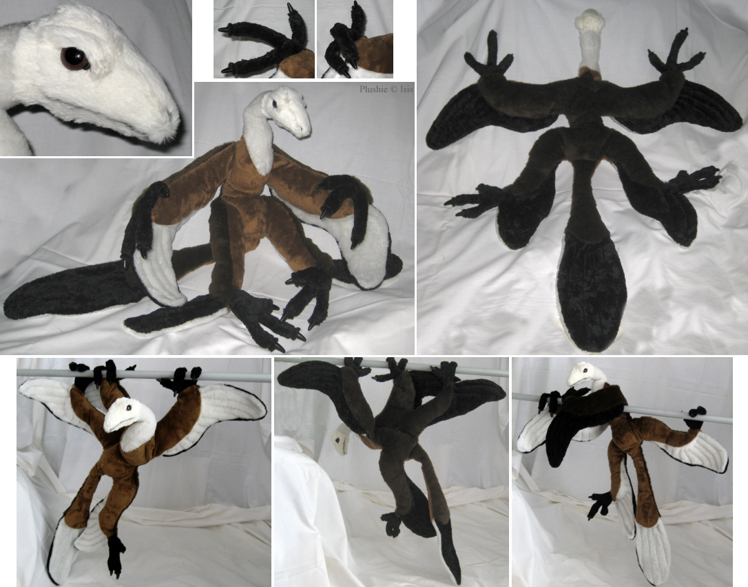 Microraptor-plushie