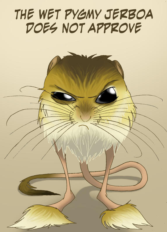 Pygmy jerboa by IsisMasshiro on DeviantArt