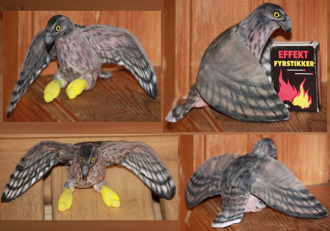 Goshawk - plushie