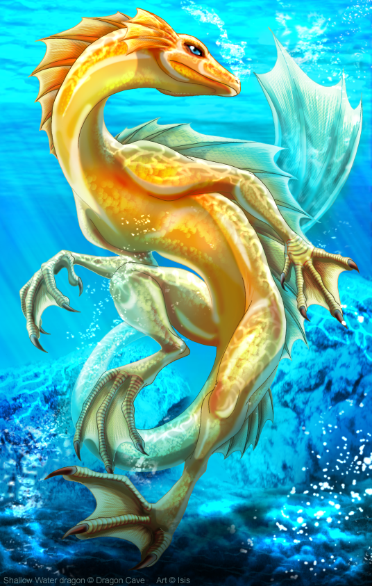 Shallow Water dragon