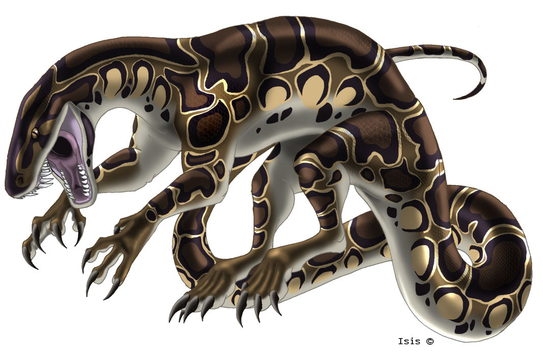 Python molurus by IsisMasshiro on DeviantArt