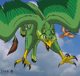 Green gryphon