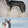 Special boi