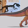 Allosaurus from the book