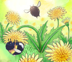 Chonky bumblebees