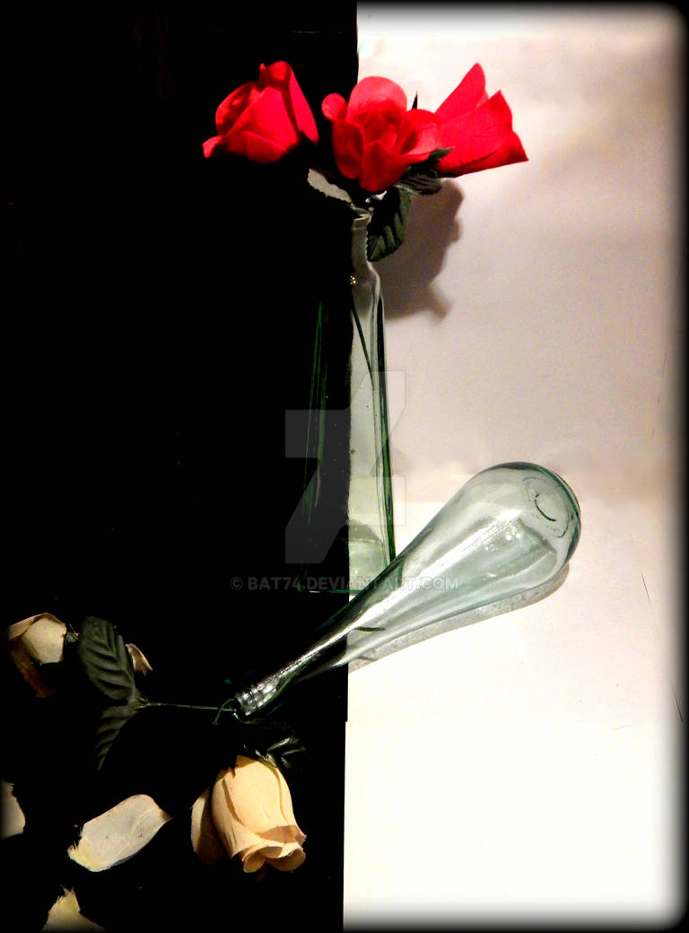 Rose Fallen1 by bat74 on DeviantArt