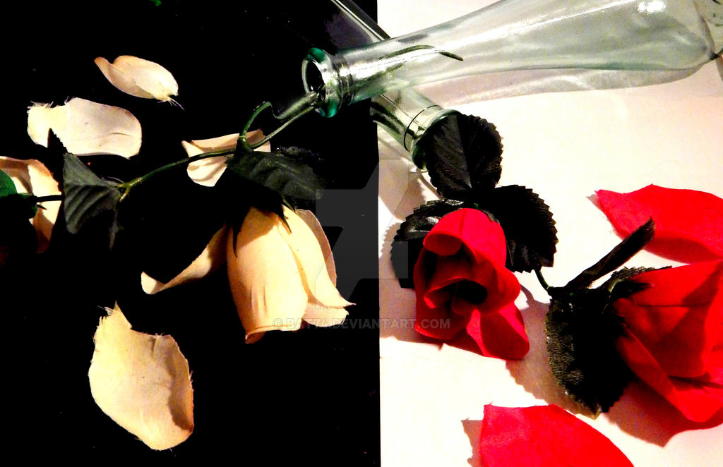 Fallen Roses by bat74 on DeviantArt
