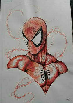 spidey red costume