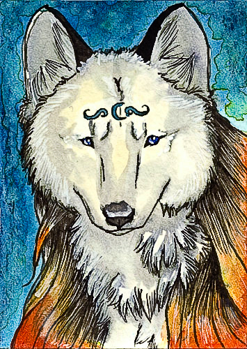 ACEO - Wolftail