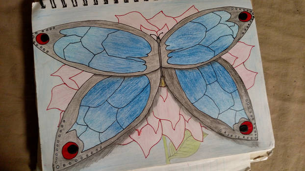 Butterfly