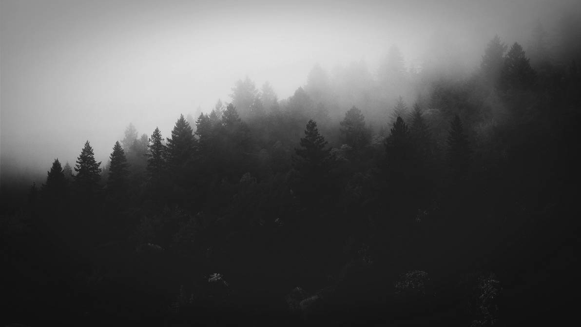 Dark Nature by GEEKZTOR on DeviantArt