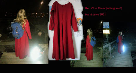 Red Wool Dress worn