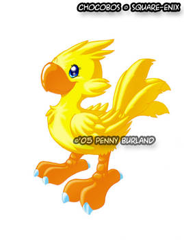 Chocobo