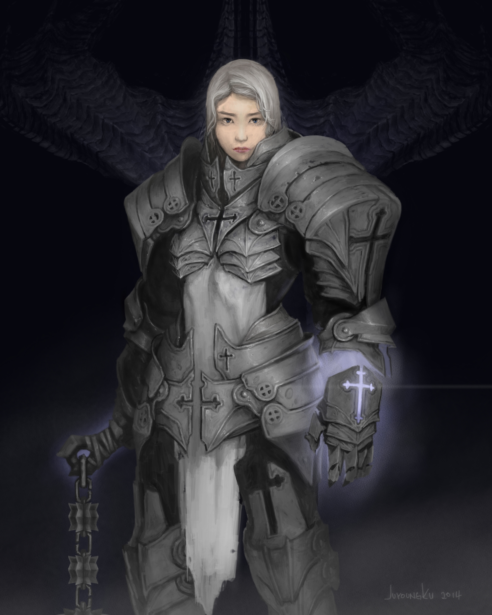 diablo 3 reaper of souls crusader class