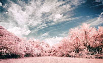 Infrared Jungle by insolitus85