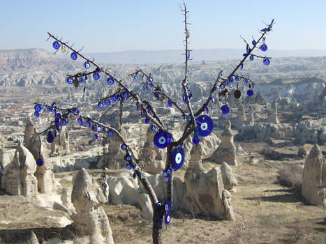 Evil eye tree