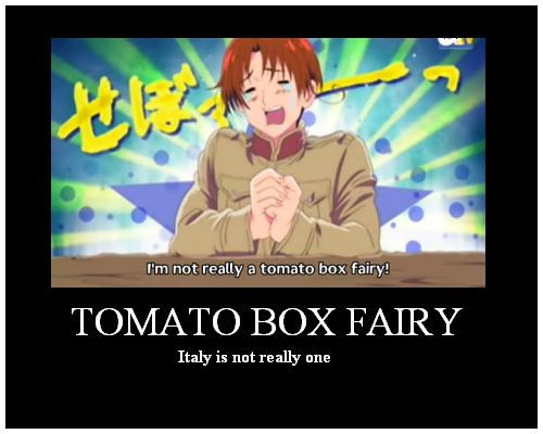 TOMATO BOX FAIRY