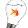 Goldfish in Lightbulb