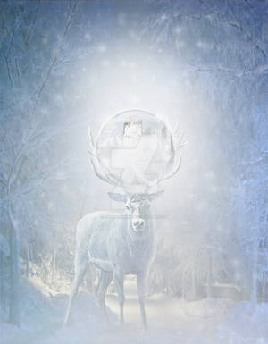 Winter Tale by EligoDesign