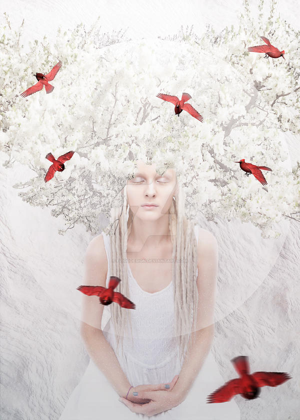 White Spring by EligoDesign White Spring by EligoDesign
