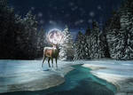 Winter Tale by EligoDesign