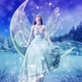 Winter Fairy