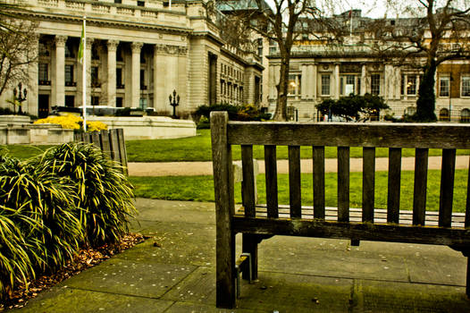 bench of the eye