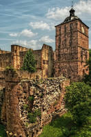 Castle Ruins in Heidelberg I